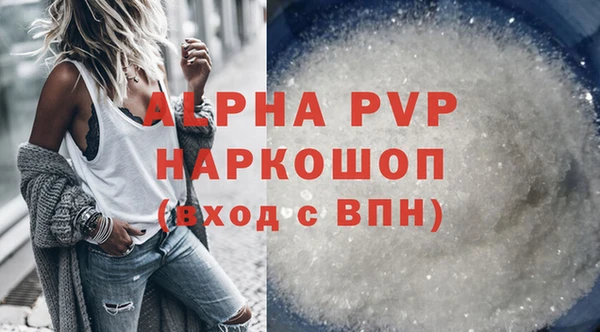 PSILOCYBIN Волосово