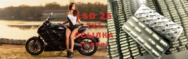 PSILOCYBIN Волосово