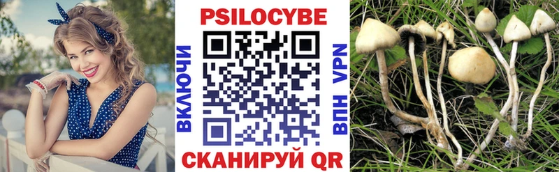 Галлюциногенные грибы прущие грибы  OMG как зайти  Карачаевск 